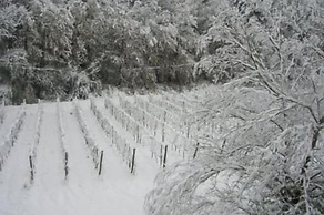 La Torre wine resort