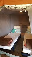 Camping de l'Île