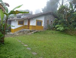 Corazón de Niebla
