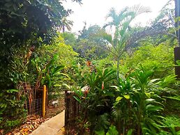 The Maya Mountain Lodge