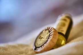 Albergo Trattoria Il Leone