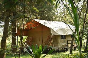 Red Rocks Campsite & Guesthouse