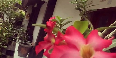 Pondok Ayu Homestay