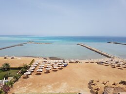SeaView Turtles