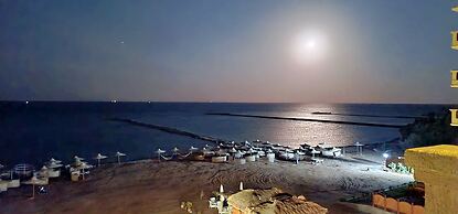 SeaView Turtles