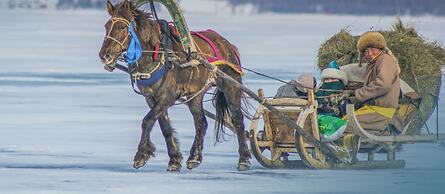 Mongolian Vision Tours - Hostel