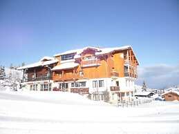 Hôtel les skieurs
