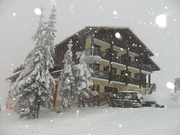 Hôtel les skieurs
