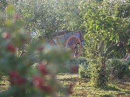 La Radice