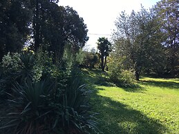 Villa La Dogana