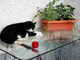 B&B La Terrazza Sui Fieschi
