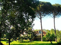 B&B Il Ciliegio