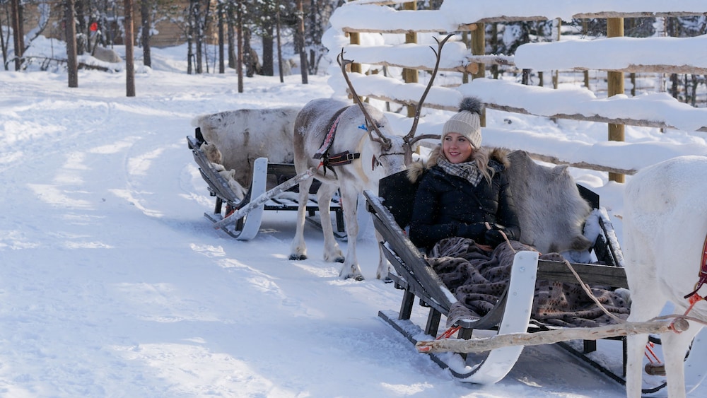 Northern Lights Village Levi