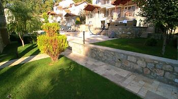 Vineyard B