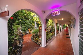 Coconut Palms Inn On The Beach