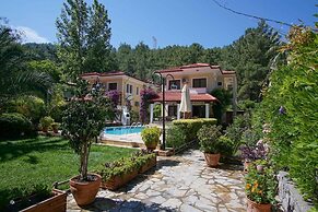 Villa Dolphin