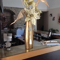 B&B Dinastia