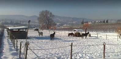 La Capannaccia