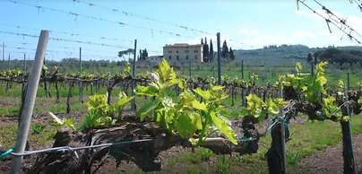 La Capannaccia