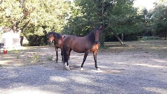 Le Petit Plessis