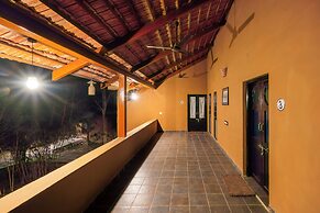 Mahua Tola Tadoba