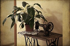 Usadba Pleshanova