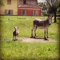 B&B Corteprimavera