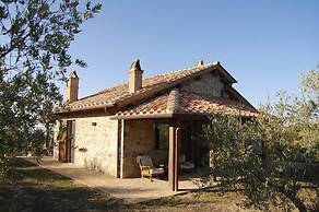 Verdidea - Poggio Aperto