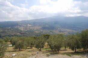 Verdidea - Poggio Aperto