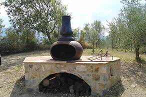 Verdidea - Poggio Aperto