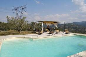 Verdidea - Poggio Aperto