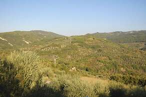 Verdidea - Poggio Aperto