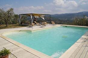 Verdidea - Poggio Aperto