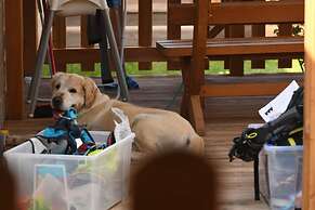 Camping Zoo