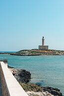 Approdo di Venere