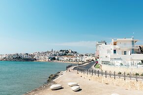 Approdo di Venere