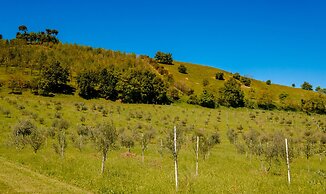 Borgo Malvasia- La Quercia