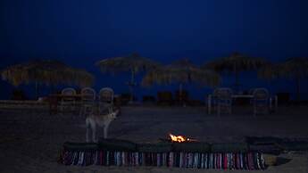 Nuweiba Lodge