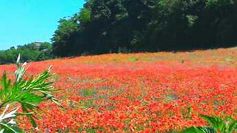 Agriturismo San Filippo