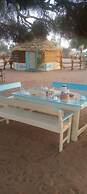 Ecolodge de Koba