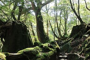 Pension Sea Forest