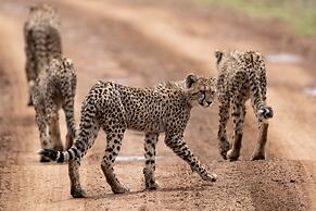 Mavela Game Lodge