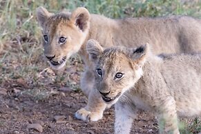 Mavela Game Lodge
