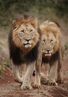Mavela Game Lodge