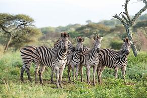 Mavela Game Lodge
