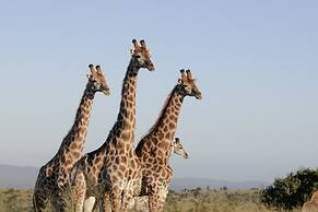 Mavela Game Lodge