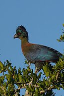 Mavela Game Lodge