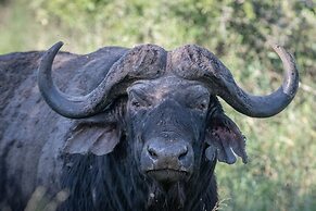 Mavela Game Lodge