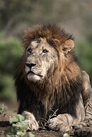 Mavela Game Lodge