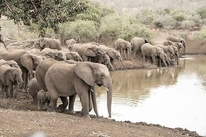 Mavela Game Lodge